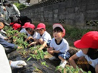 IMG_6207