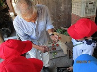 IMG_6742