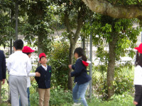 IMGP1749