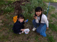 IMGP1761
