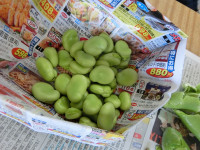 CIMG0659