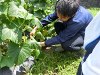 CIMG0954