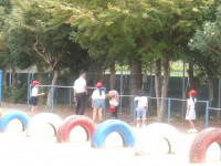 IMGP2663