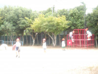 IMGP2639