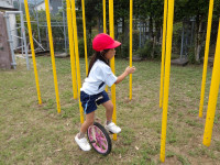 IMGP0168