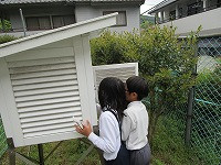 IMG_8996