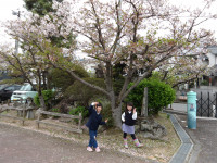 IMGP0624