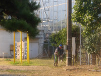 IMGP0054