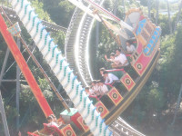 IMGP0635
